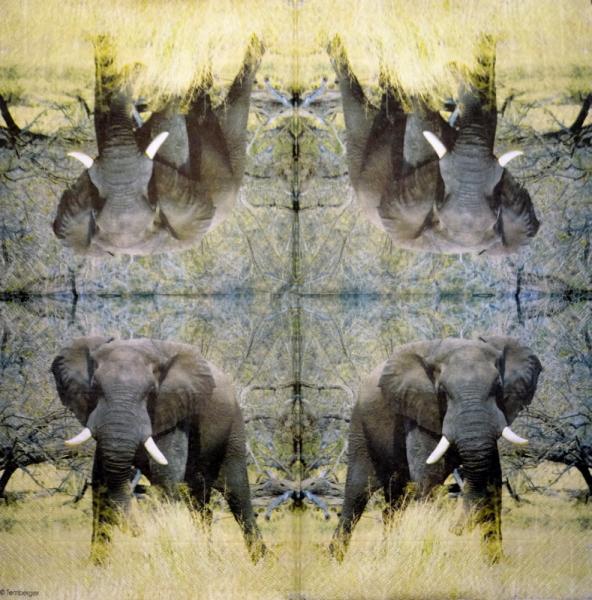 060 Elephant - 3-ply - (gold) - ppd